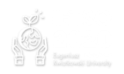 IETSO 2020