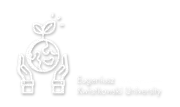 IETSO 2020